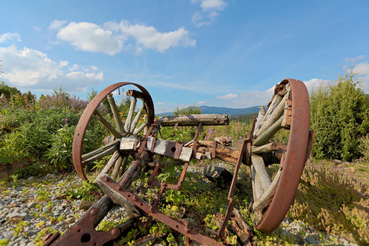 Berghotel Mooshuette Lohberg Kültér fotó